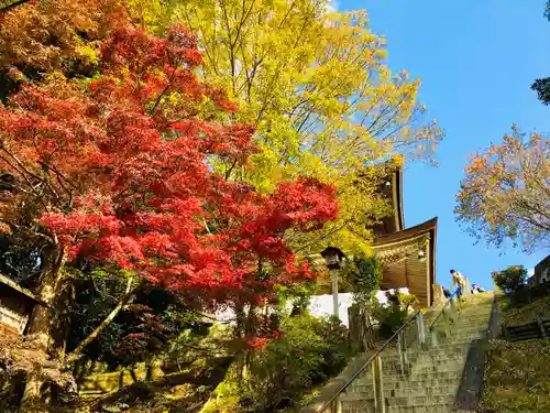 金峯山寺の自然