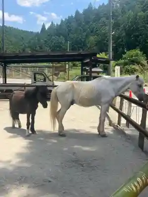 丹生川上神社(下社)(奈良県)