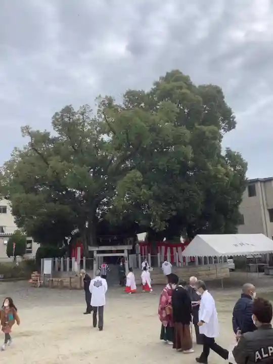 直会神社のお祭り