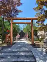 空知神社(北海道)