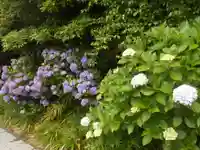 須磨稲荷大明神・和佐稲荷大明神の自然