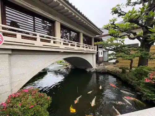 豊川閣　妙厳寺の庭園