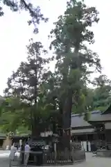 大神神社の自然