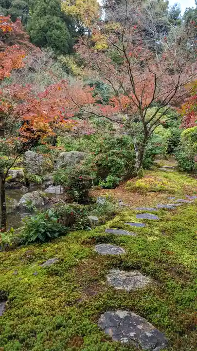 実相院門跡(京都府)