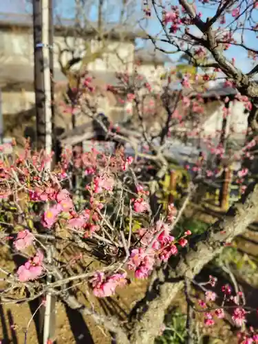 清泰寺の庭園