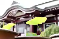 大雄院のその他建物