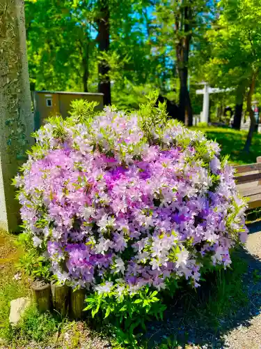 上杉神社の{uncategorized: "未分類", other: "その他", undefined: "問題あり", building: "その他建物", grave: "お墓", sacred_gate: "鳥居", guardian: "狛犬", statue: "像", buddha: "仏像", history: "歴史", nature: "自然", garden: "庭園", animal: "動物", pagoda: "塔", temizu: "手水舎", mountain_gate: "山門・神門", sanctuary: "本殿・本堂", subordinate: "末社・摂社", art: "芸術", scenery: "景色", jizo: "地蔵", ema: "絵馬", goshuin: "御朱印", omikuji: "おみくじ", items: "授与品その他", amulet: "お守り", goshuincho: "御朱印帳", eats: "食事", festival: "お祭り", votive_dance: "神楽", shichigosan: "七五三参", wedding: "結婚式", experience: "体験その他", initially: "初詣", around: "周辺", anti_infection: "感染症対策"}