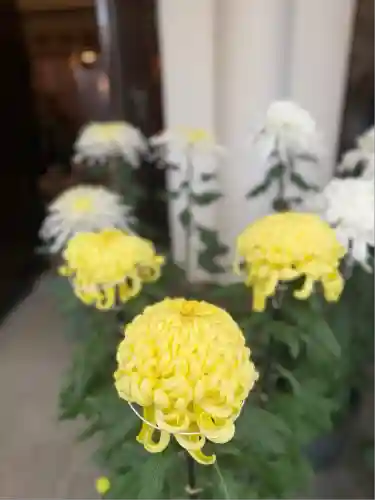 駒込天祖神社(東京都)
