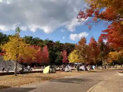 光明寺瑠璃光院(京都府)