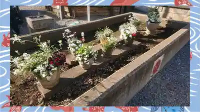 鎮守氷川神社(埼玉県)