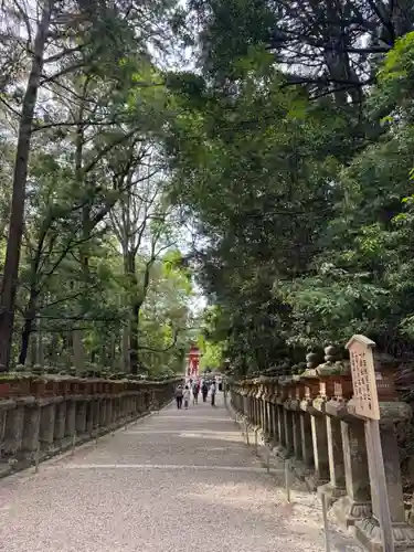 春日大社(奈良県)