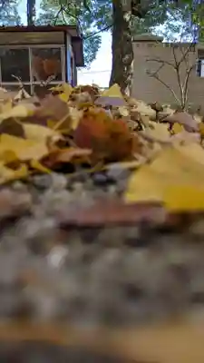 白山神社の自然