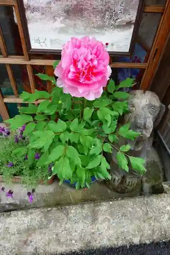 金峯山寺の庭園