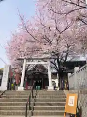 浅草富士浅間神社(東京都)