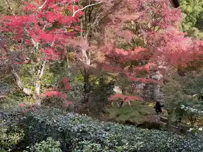 直指庵(京都府)