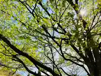 土津神社|こどもと出世の神さまの自然
