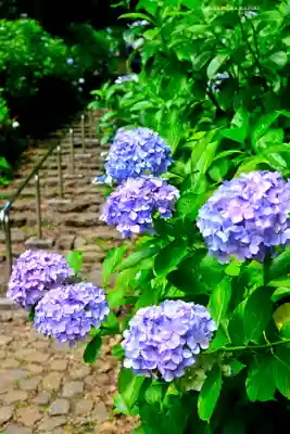 太平山神社(栃木県)