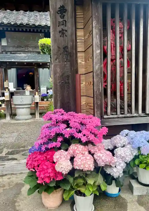 極楽寺(静岡県)