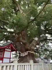 善通寺(香川県)