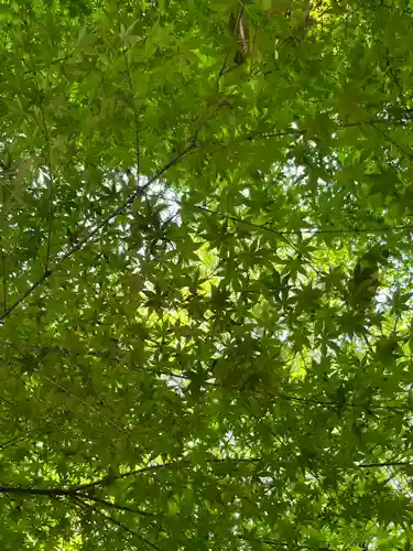 本土寺(千葉県)