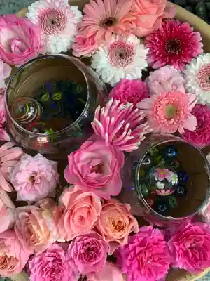 彌都加伎神社の手水舎