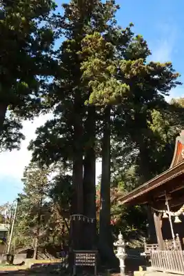 日枝神社(静岡県)