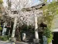 雉子神社の鳥居