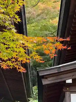高幡不動尊　金剛寺(東京都)