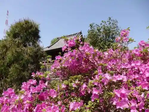 長泉寺の景色