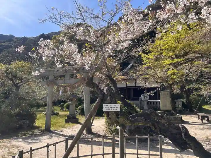吉香神社(山口県)
