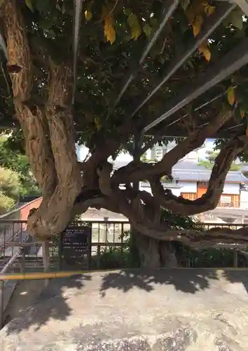 誉田八幡宮の庭園