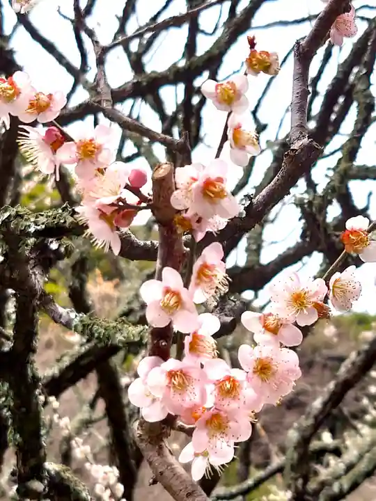 瑞泉寺(神奈川県)