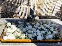 長良神社(群馬県)