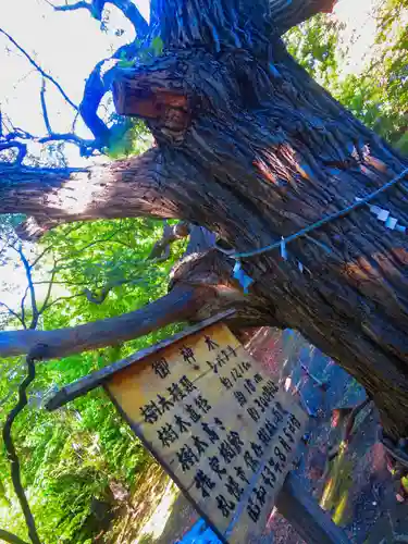 相馬神社(北海道)