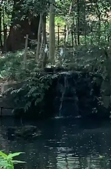 武蔵一宮氷川神社(埼玉県)