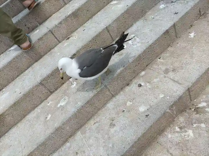 蕪嶋神社(青森県)