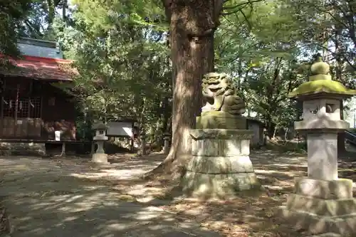 塙田八幡宮の狛犬