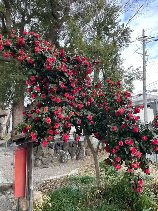 五社神社(京都府)
