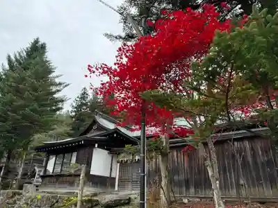 諏訪大社(長野県)