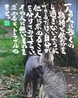 専念寺(大阪府)