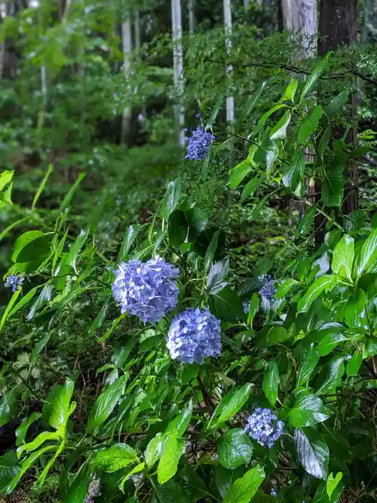 普門寺(切り絵御朱印発祥の寺)(愛知県)