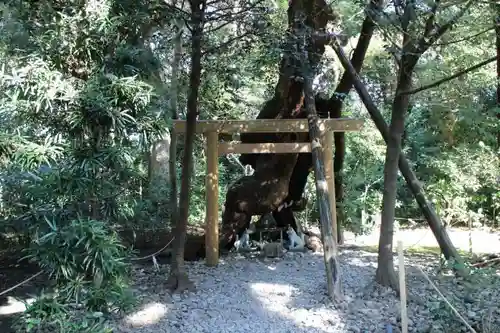 月夜見宮（豊受大神宮別宮）の鳥居