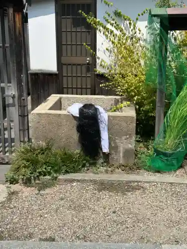 全興寺(大阪府)