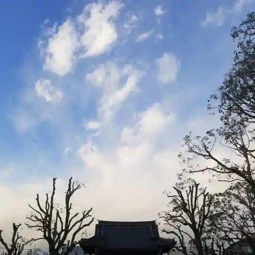 白髭神社の景色