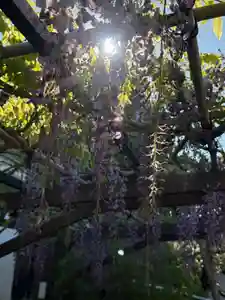 西方山極楽寺(岐阜県)(2026年04月16日(木) 17時21分56秒投稿)