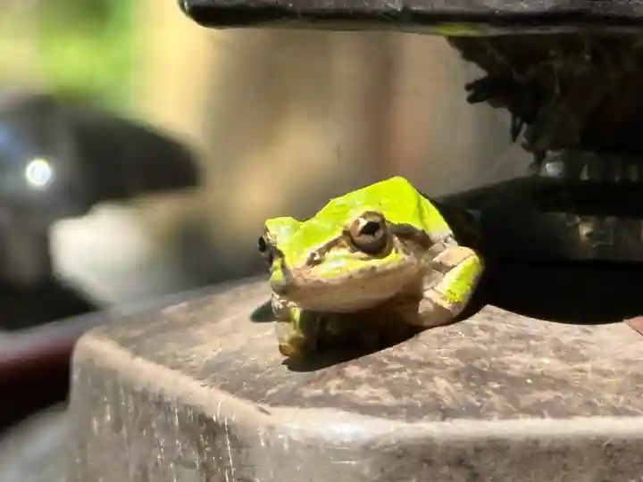 須山浅間神社(静岡県)