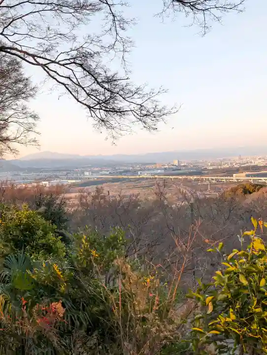 石清水八幡宮の{uncategorized: "未分類", other: "その他", undefined: "問題あり", building: "その他建物", grave: "お墓", sacred_gate: "鳥居", guardian: "狛犬", statue: "像", buddha: "仏像", history: "歴史", nature: "自然", garden: "庭園", animal: "動物", pagoda: "塔", temizu: "手水舎", mountain_gate: "山門・神門", sanctuary: "本殿・本堂", subordinate: "末社・摂社", art: "芸術", scenery: "景色", jizo: "地蔵", ema: "絵馬", goshuin: "御朱印", omikuji: "おみくじ", items: "授与品その他", amulet: "お守り", goshuincho: "御朱印帳", eats: "食事", festival: "お祭り", votive_dance: "神楽", shichigosan: "七五三参", wedding: "結婚式", experience: "体験その他", initially: "初詣", around: "周辺", anti_infection: "感染症対策"}