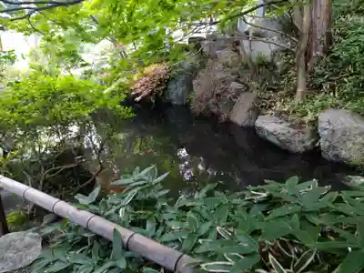 崇禅寺の手水舎