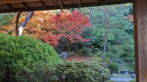 青蓮院門跡(京都府)