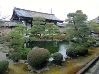 東寺（教王護国寺）(京都府)